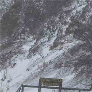 Bird People - Crème Brûlée And Deer Tracks In The Snow (Slow Return) flac download
