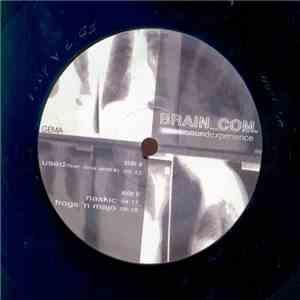 Brain_Com. - Soundexperience flac download