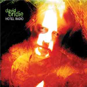 David Bridie - Hotel Radio flac download