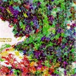 Doldrums - Feng Shui flac download