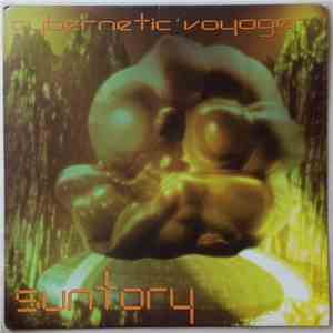 Suntory - Cybernetic Voyager flac download