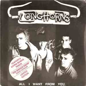 The Longhorns  - All I Want From You flac download