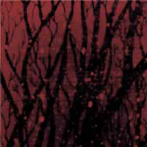 Aairria - Branches That Glow flac download