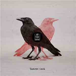 Steven Cock - Sub From Behind flac download