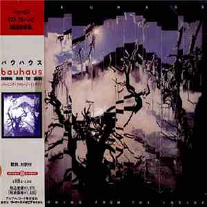 Bauhaus - Burning From The Inside flac download