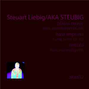 Steuart Liebig - Plains Music (Bass Assemblages 06–08) / Bass Improvs (Song Series 05–10) / Nebula (Bass Assemblage 09) flac download