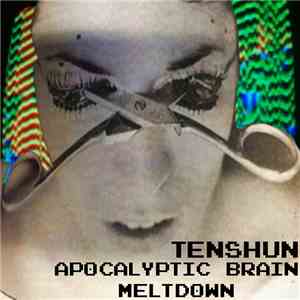 Tenshun - Apocalyptic Brain Meltdown flac download