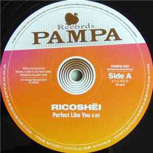 Ricoshëi, Dave DK - Perfect Like You / Woolloomooloo flac download