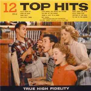 Don Raleigh & His Orchestra, Sandy Phillips, The Topovers - 12 Top Hits flac download