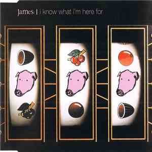 James - I Know What I'm Here For flac download