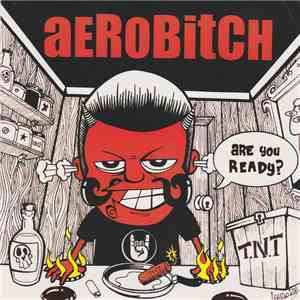 Aerobitch - Are You Ready? flac download