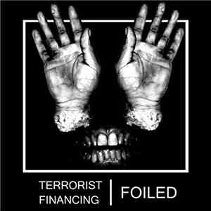 Foiled / Terrorist Financing - Split flac download