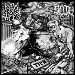 Raw Noise Apes / SxOxTxE - Untitled/Escape From The World Of Stone flac download