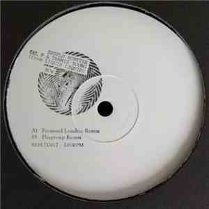 Shield, Robytek, Sal P & Dennis Young (From Liquid Liquid) - Now flac download