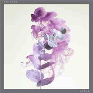 Editors - Sugar flac download