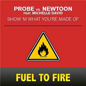 Probe  Vs. Newtoon  Feat. Michelle David - Show 'M What You're Made Of flac download