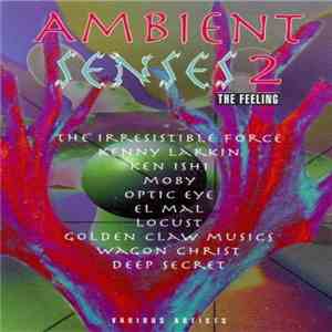 Various - Ambient Senses 2 (The Feeling) flac download