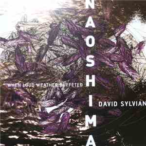 David Sylvian - When Loud Weather Buffeted Naoshima flac download