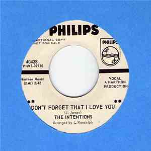 The Intentions  - Don't Forget That I Love You flac download