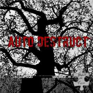 Behind The Pieces - Auto Destruct flac download