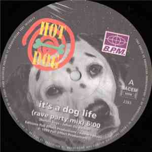 Hot Dog - It's A Dog Life flac download