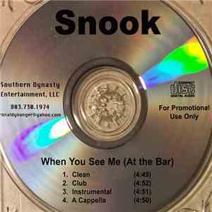 Snook  - When You See Me (At The Bar) flac download
