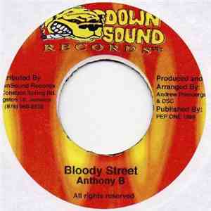 Anthony B - Bloody Street flac download