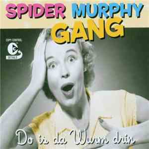 Spider Murphy Gang - Do is da Wurm drin flac download
