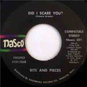Bits And Pieces - Did I Scare You? flac download