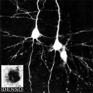 DENSO - 090119 / Psicoscillazioni flac download