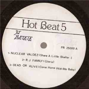 Various - Hot Beat Vol.05 flac download